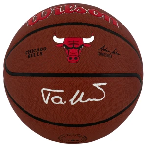 Toni Kukoc Signed Chicago Bulls Logo Wilson Alliance NBA Basketball