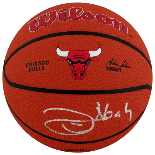 Joakim Noah Signed Wilson Chicago Bulls Logo NBA Basketball