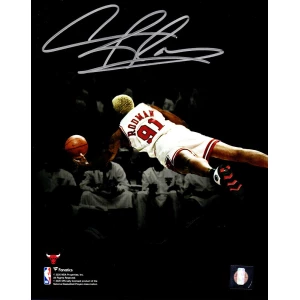 Dennis Rodman Signed Chicago Bulls Diving Spotlight 8x10 Photo
