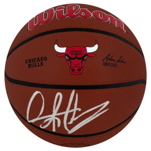 Dennis Rodman Signed Chicago Bulls Logo Wilson Alliance NBA Basketball