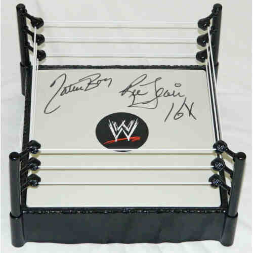 Ric Flair Signed WWE Wrestling Ring w/Nature Boy, 16x