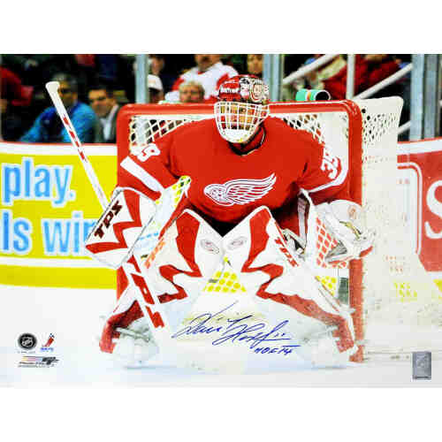 Dominik Hasek Signed Red Wings Goalie 16x20 Photo w/HOF'14