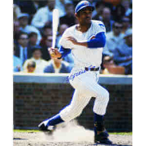 Billy Williams Signed Chicago Cubs Swinging 16x20 Photo