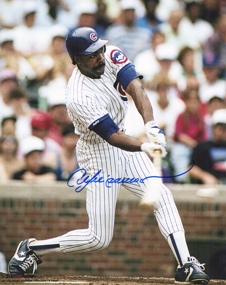 Andre Dawson Signed Chicago Cubs Swinging Action 8×10 Photo