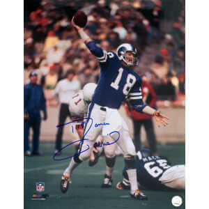 Roman Gabriel Signed Los Angeles Rams Blue Jersey Passing 16x20 Photo