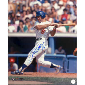 Steve Garvey Signed Los Angeles Dodgers White Jersey Swinging 16x20 Photo (In Blue)