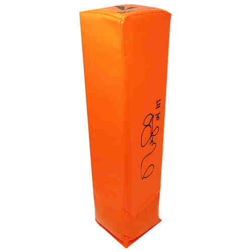 Matt Leinart Signed Orange Endzone Football Pylon w/04 HT