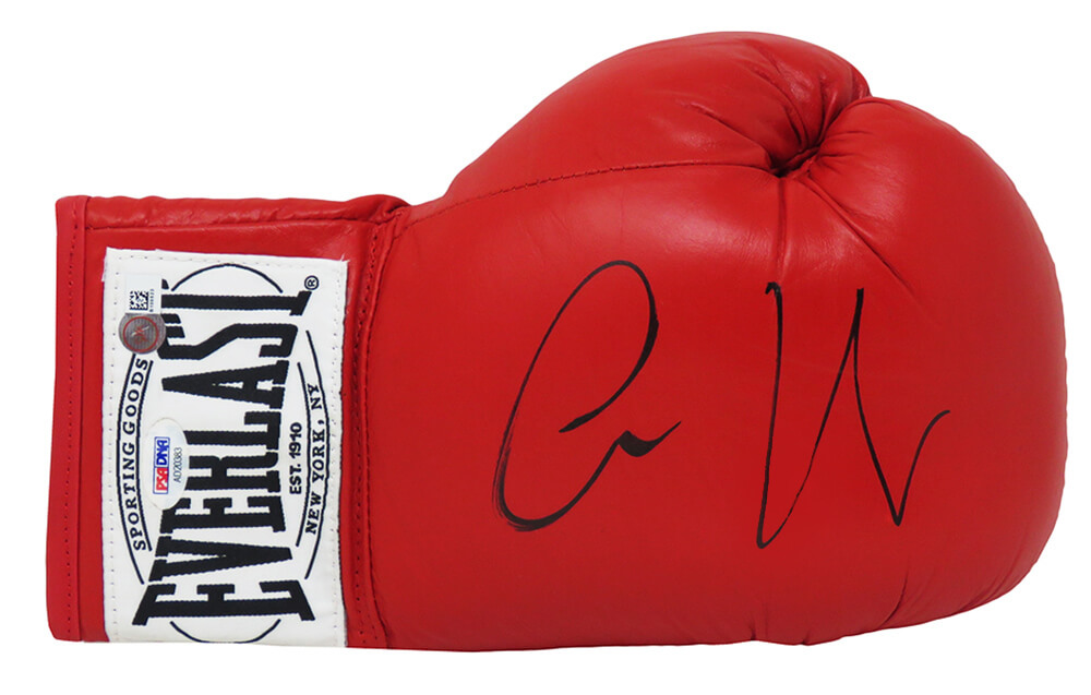 conor mcgregor everlast boxing gloves