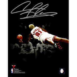 Dennis Rodman Signed Chicago Bulls Diving Spotlight 8x10 Photo