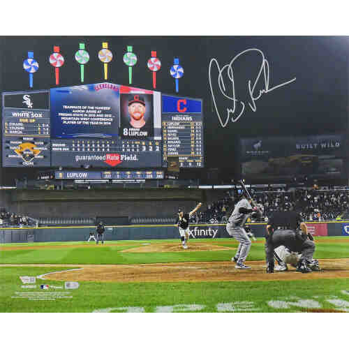 Carlos Rodon Signed Chicago White Sox No Hitter Final Pitch 16x20 Photo (Fanatics)