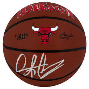 Dennis Rodman Signed Chicago Bulls Logo Wilson Alliance NBA Basketball