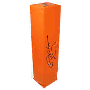 Lawrence Taylor Signed Orange Endzone Football Pylon