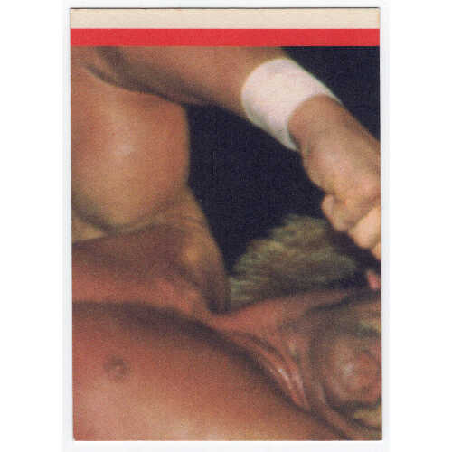 Hulk Hogan 1985 Topps WWF Rookie Wrestling Trading Card Sticker #22 - Image 2