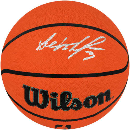 Ben Wallace Signed Wilson Indoor/Outdoor NBA Basketball